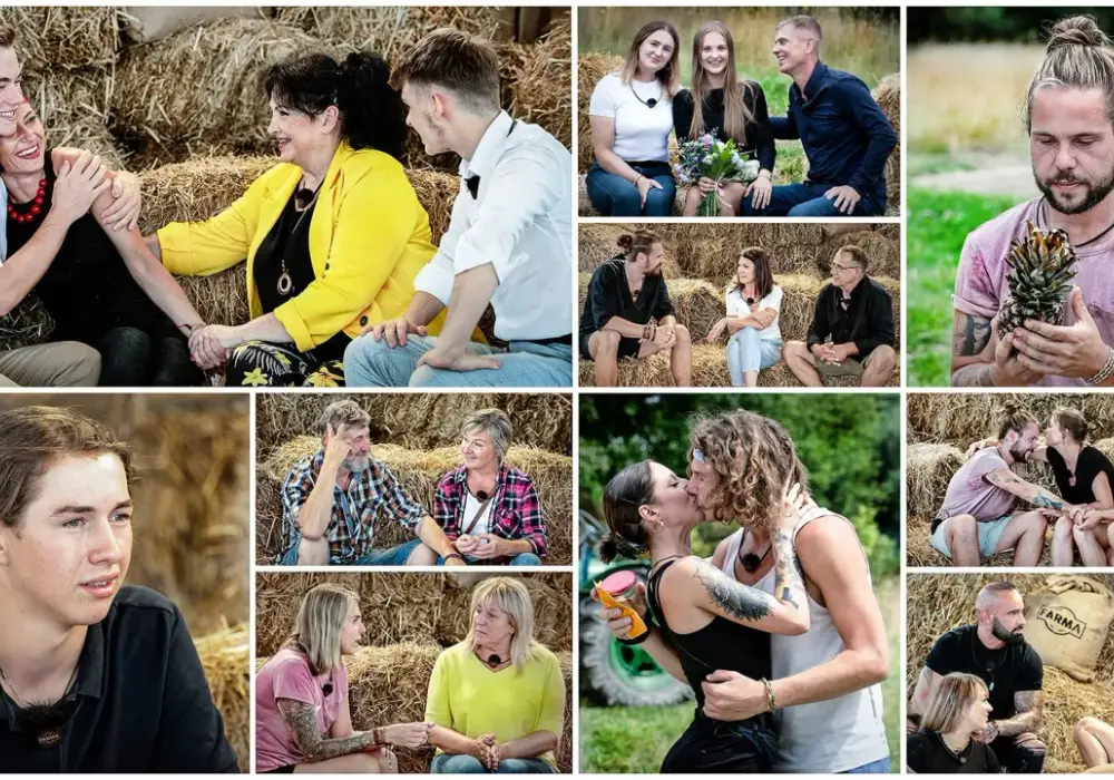 Profil sezon 10: Zobacz kompletną listę wszystkich odcinków serialu